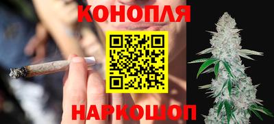 гашик Нальчик