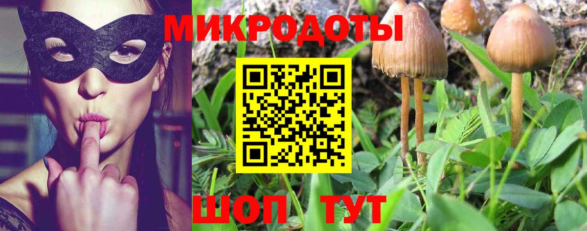 Шали  Псилоцибиновые грибы Psilocybe  Вход с VPN 